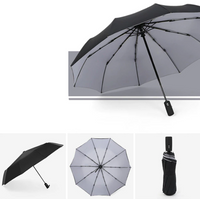 Sturmsicherer & Faltbarer Regenschirm – AeroShield