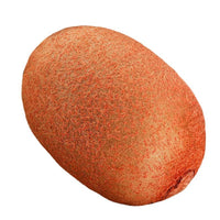 Fruitkussen | Zacht Pluche Decoratie Realistisch Veelzijdig Duurzaam-Kiwi-Luzern Mode