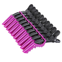 Bunte Haarklammern Set - 12 Stück Friseur Styling Clips-Set 5-Luzern Mode