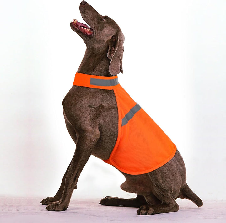 Hundeweste | Reflektierend Auffällig Sicher Leicht Komfortabel-Luzern Mode