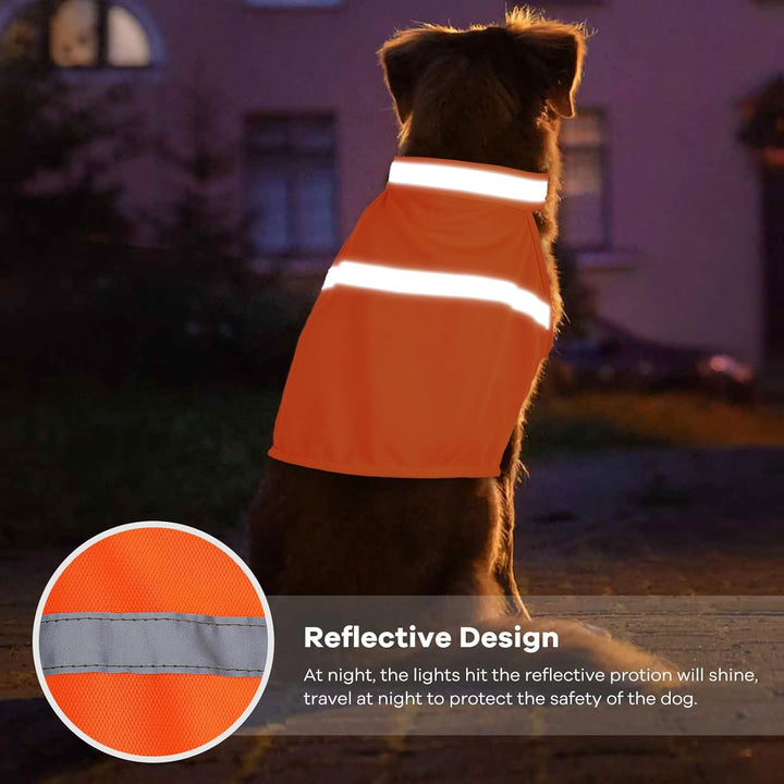 Hundeweste | Reflektierend Auffällig Sicher Leicht Komfortabel-Luzern Mode