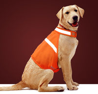 Hundeweste | Reflektierend Auffällig Sicher Leicht Komfortabel-S-Luzern Mode