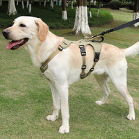 Hundegeschirr | Reflektierendes Nylon, Langlebig, Robust, Anti-Zieh, Verstellbar-Luzern Mode