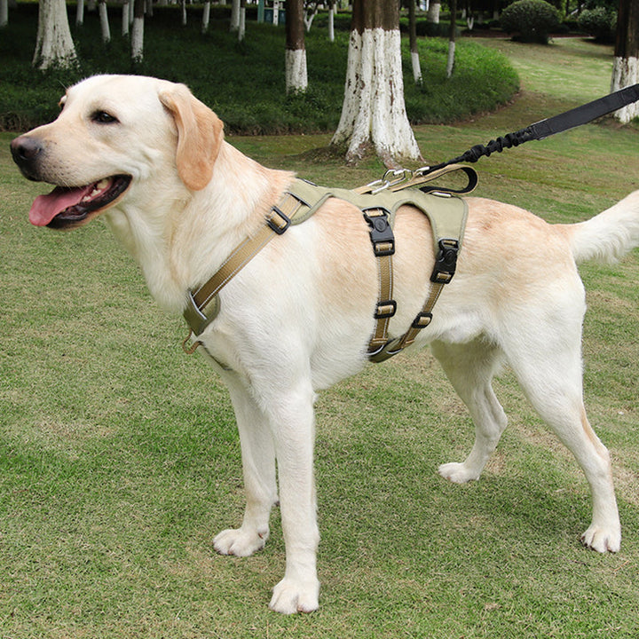 Hundegeschirr | Reflektierendes Nylon, Langlebig, Robust, Anti-Zieh, Verstellbar-Luzern Mode