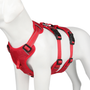 Hundegeschirr | Reflektierendes Nylon, Langlebig, Robust, Anti-Zieh, Verstellbar-S-Rot-Luzern Mode