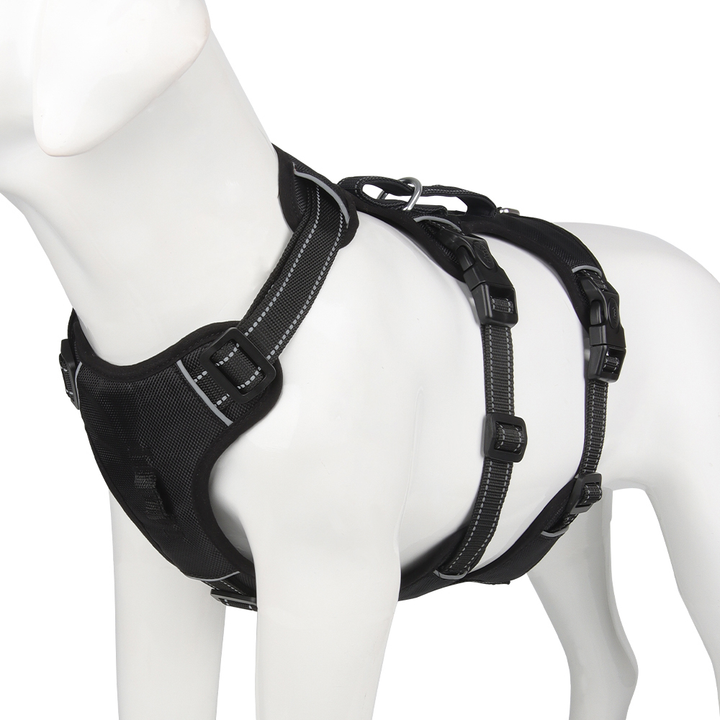 Hundegeschirr | Reflektierendes Nylon, Langlebig, Robust, Anti-Zieh, Verstellbar-S-Schwarz-Luzern Mode