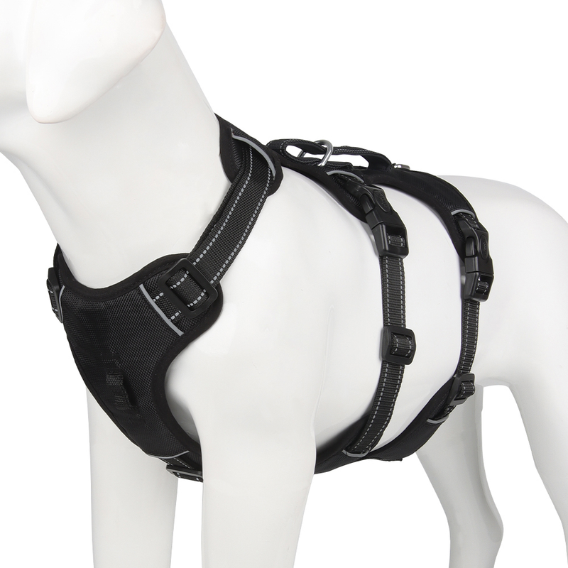 Hundegeschirr | Reflektierendes Nylon, Langlebig, Robust, Anti-Zieh, Verstellbar-S-Schwarz-Luzern Mode