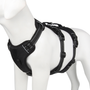 Hundegeschirr | Reflektierendes Nylon, Langlebig, Robust, Anti-Zieh, Verstellbar-S-Schwarz-Luzern Mode