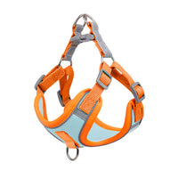 Welpen-Geschirr | Puppy, Reflektierend, Komfortabel, Langlebig, Atmungsaktiv, Sicher-Blau-S(2.5-4kg)-Luzern Mode