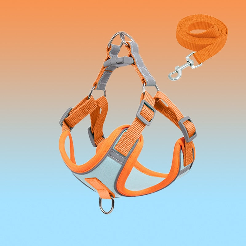 Welpen-Geschirr | Puppy, Reflektierend, Komfortabel, Langlebig, Atmungsaktiv, Sicher-Blau Set-S(2.5-4kg)-Luzern Mode