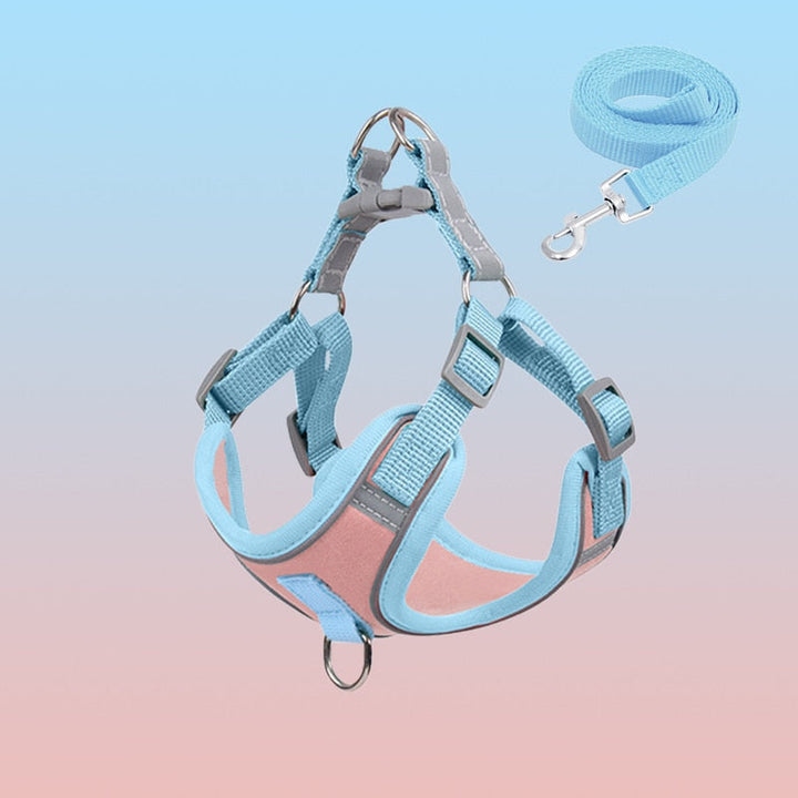 Welpen-Geschirr | Puppy, Reflektierend, Komfortabel, Langlebig, Atmungsaktiv, Sicher-Rosa Set-S(2.5-4kg)-Luzern Mode