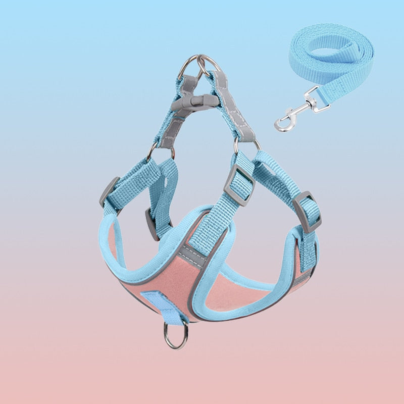 Welpen-Geschirr | Puppy, Reflektierend, Komfortabel, Langlebig, Atmungsaktiv, Sicher-Rosa Set-S(2.5-4kg)-Luzern Mode