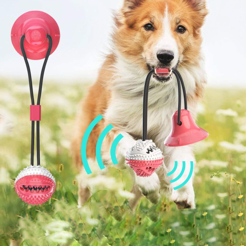 Hundezerrtau | Robust Langlebig Saugnapf Ball Leckerli Vielseitig-Luzern Mode