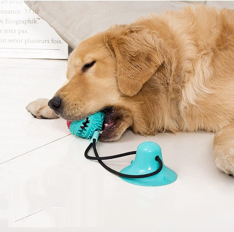 Hundezerrtau | Robust Langlebig Saugnapf Ball Leckerli Vielseitig-Luzern Mode