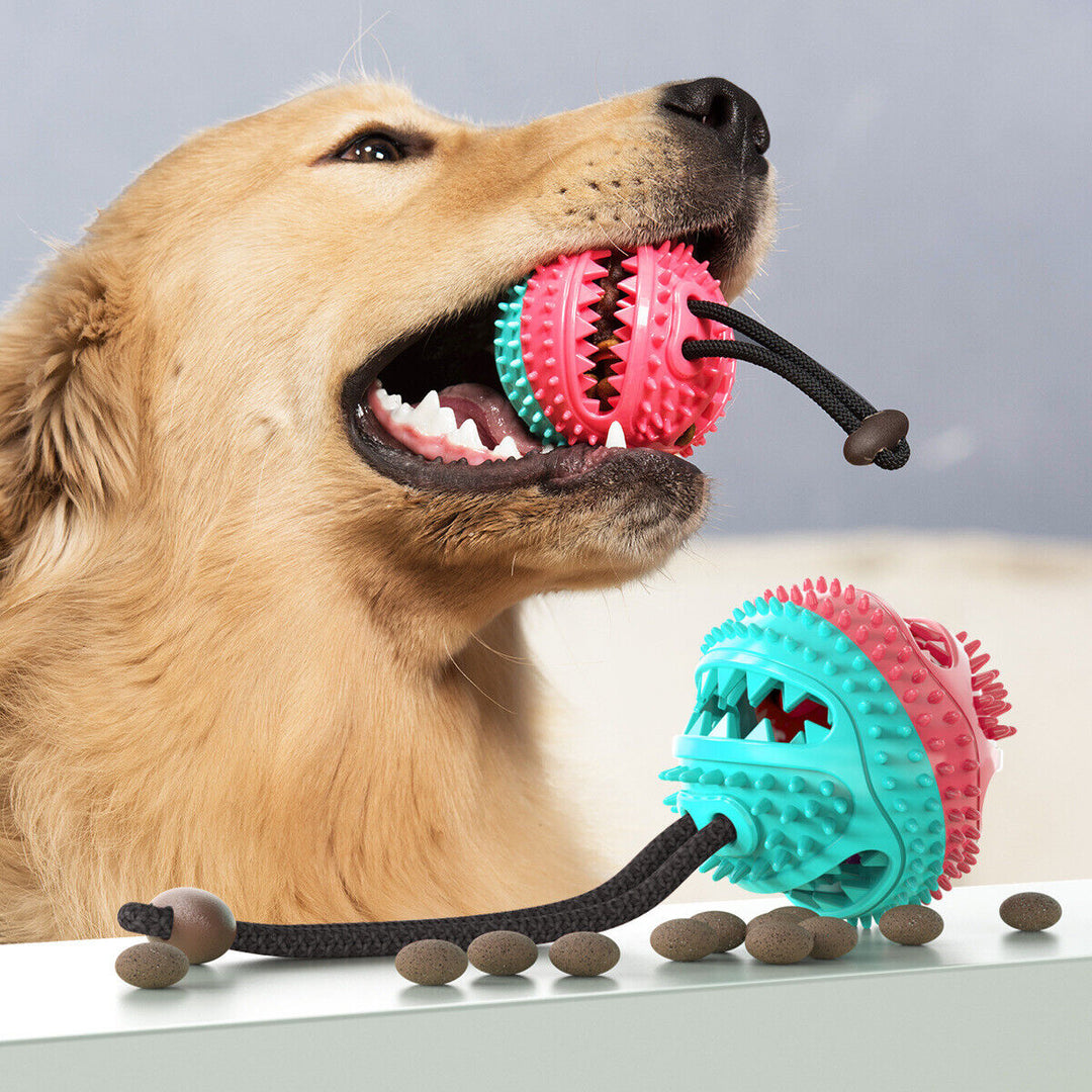 Hundezerrtau | Robust Langlebig Saugnapf Ball Leckerli Vielseitig-Blau + Rosa-Luzern Mode