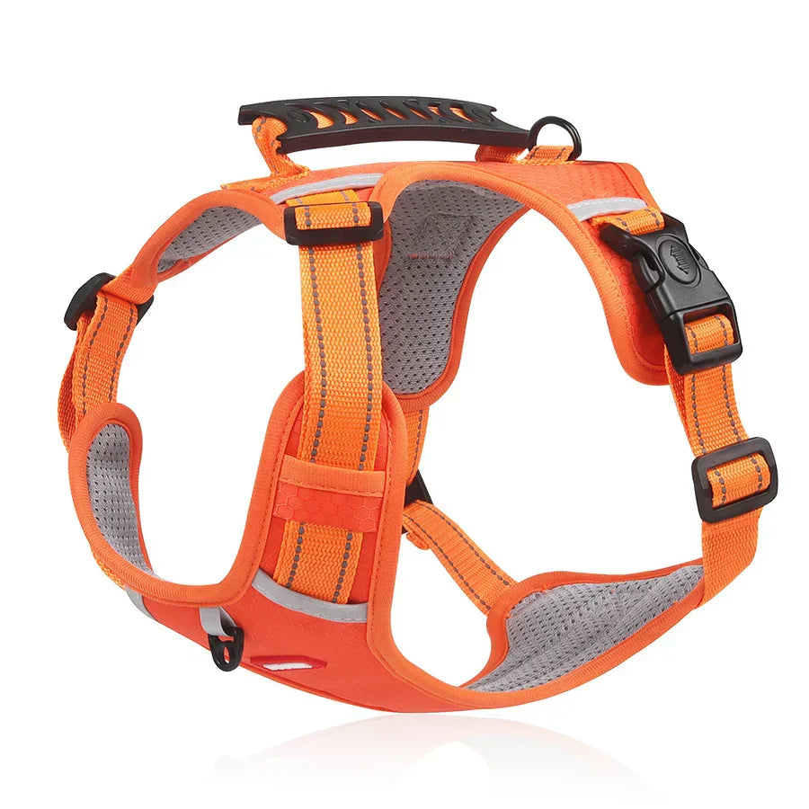 Hundegeschirr | Komfortabel | Robust | Verstellbar | Sicher-Orange-XS-Luzern Mode