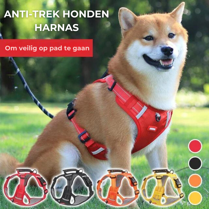 Hundegeschirr | Komfortabel | Robust | Verstellbar | Sicher-Rot-XS-Luzern Mode