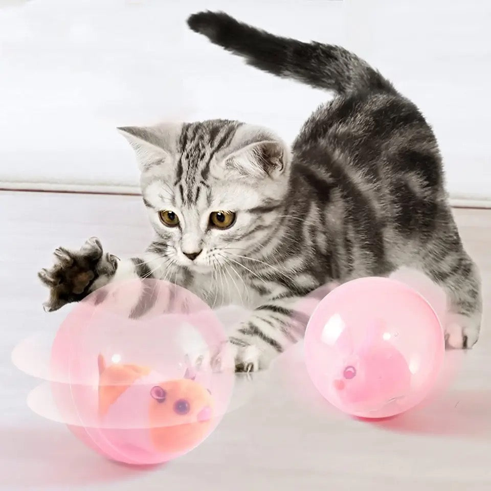 Katzenspielzeug | Rollendes Tier Niedlich Interaktiv Vielseitig Langlebig-Luzern Mode
