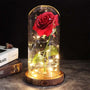 Rose unter Glassturz | Langlebig Ewig Stilvoll Liebe Symbolisch Geschenk-Rot-Luzern Mode