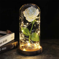 Rose unter Glassturz | Langlebig Ewig Stilvoll Liebe Symbolisch Geschenk-Weiß-Luzern Mode