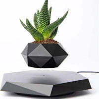 Schwebender Blumentopf | Magnetisch | Dekoration | Kompakt | AC-Adapter-Schwarzer Onyx-Luzern Mode