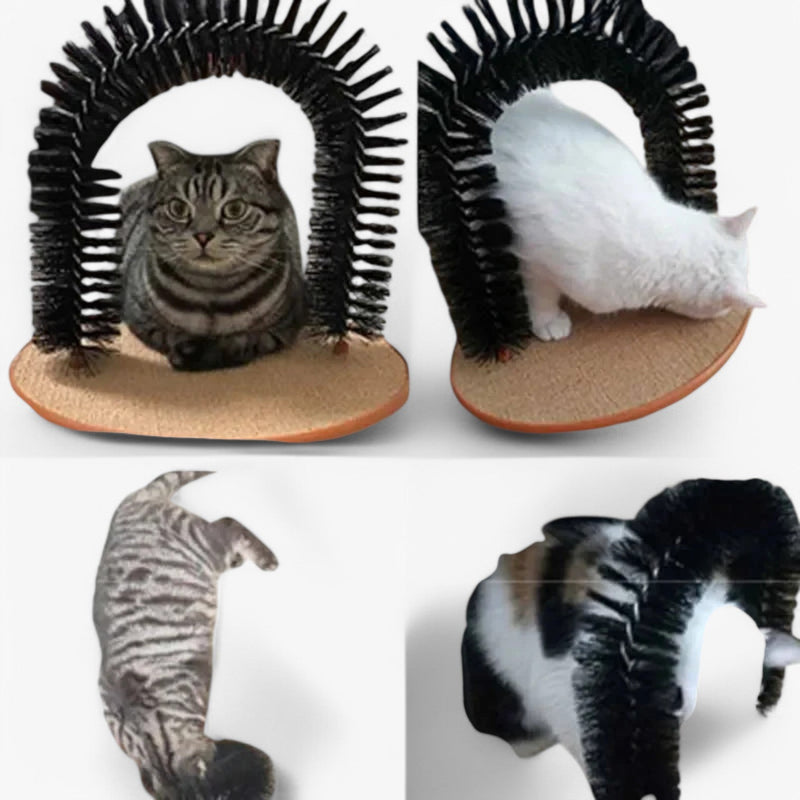 Katzen-Massagebogen | Kratzen | Kämmen | Selbstpflege | Schwarz | Pflegend-Luzern Mode
