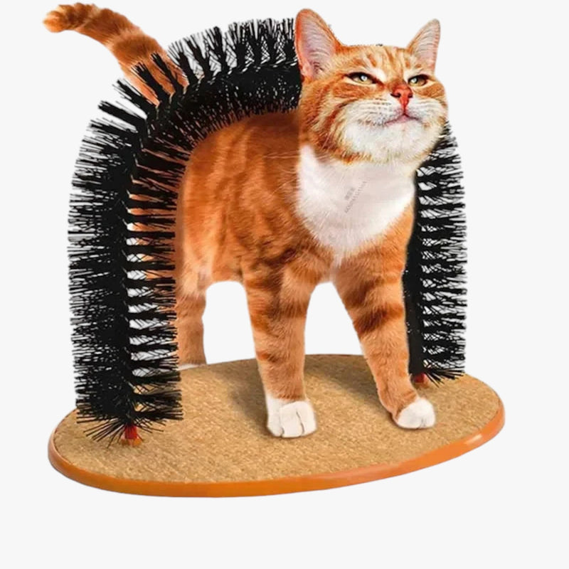 Katzen-Massagebogen | Kratzen | Kämmen | Selbstpflege | Schwarz | Pflegend-Luzern Mode
