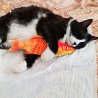 Katzenspielzeug | Fisch Beweglich Aufladbar 4 Stück USB Fit Gesundheit-Luzern Mode