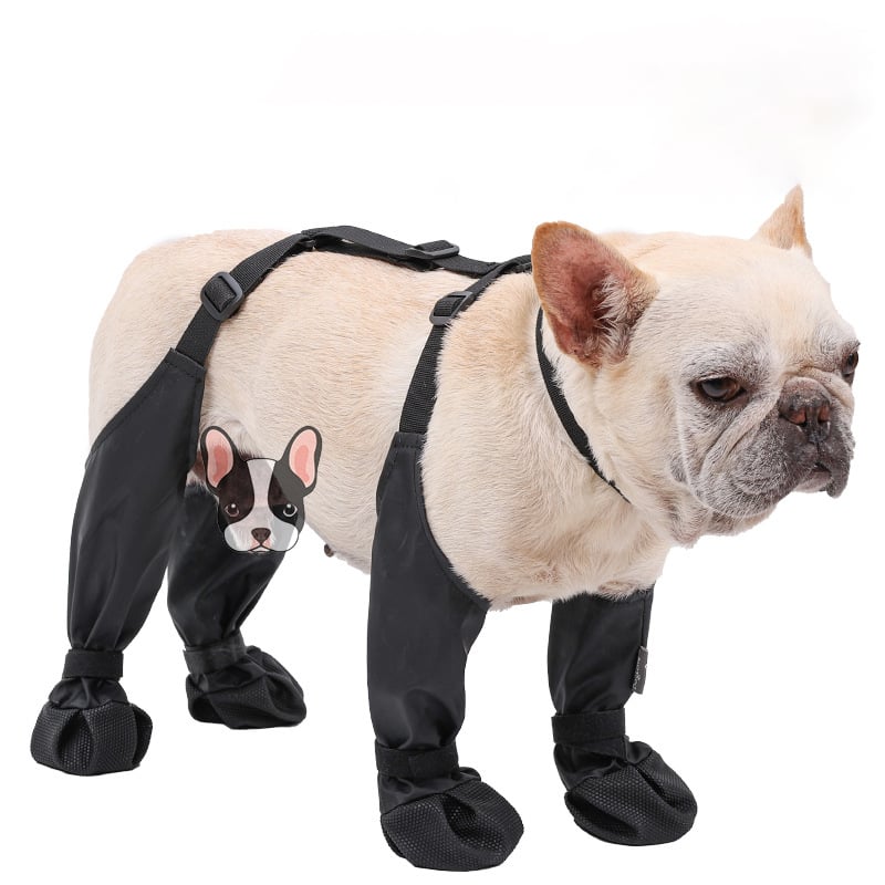 Stiefel für Hunde | Wetterfest | Bequem | Schutz-Luzern Mode