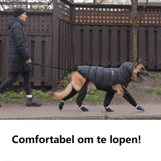 Stiefel für Hunde | Wetterfest | Bequem | Schutz-Luzern Mode