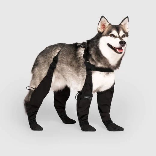 Stiefel für Hunde | Wetterfest | Bequem | Schutz-S-Luzern Mode
