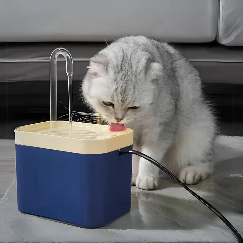 Katzen Wasserfontäne | Still Automatisch Mit Filtration Langlebig Pumpe-Blau-Luzern Mode