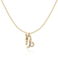 Sternzeichen-Kette | Silber Gold Stilvoll Einzigartig Verstellbar Langlebig-Gold-Steinbock-Luzern Mode