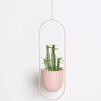 Pflanzenhänger | Rund Oval Stilvoll Einzigartig Langlebig Vielseitig Geschenk-Oval-Rosa-Luzern Mode