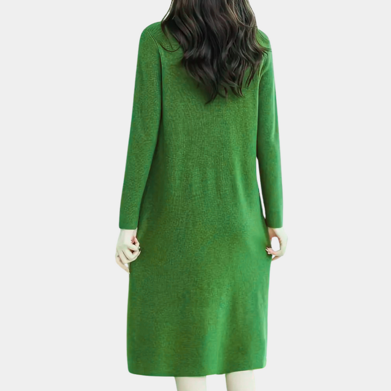 Elegantes Damen Strickkleid mit Kragen für Herbst/Winter-Luzern Mode