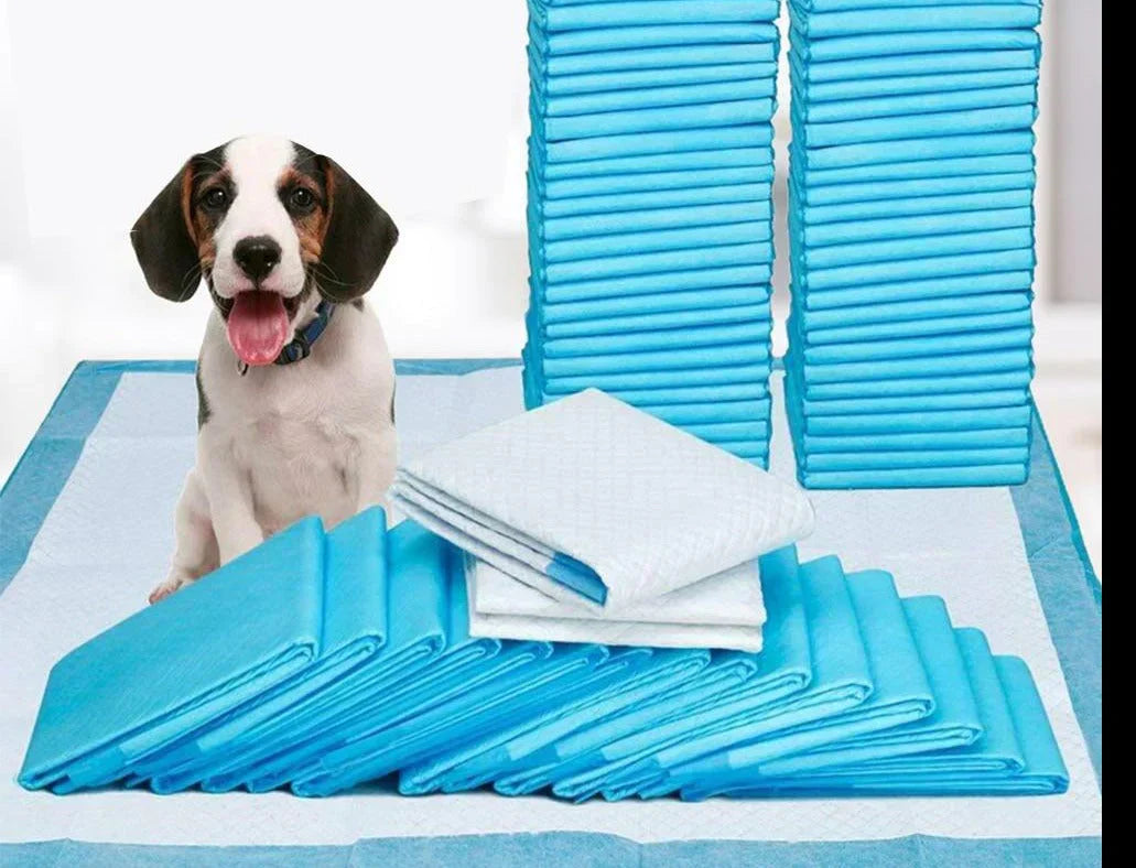Stubenreinheitstraining Matten | Absorbierend Auslaufsicher Langlebig Geruchslos-Luzern Mode