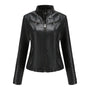 Lernjacke für Damen | Vegan | Uni | Reißverschluss | Seitentaschen | Tailliert-Schwarz-XS-Luzern Mode