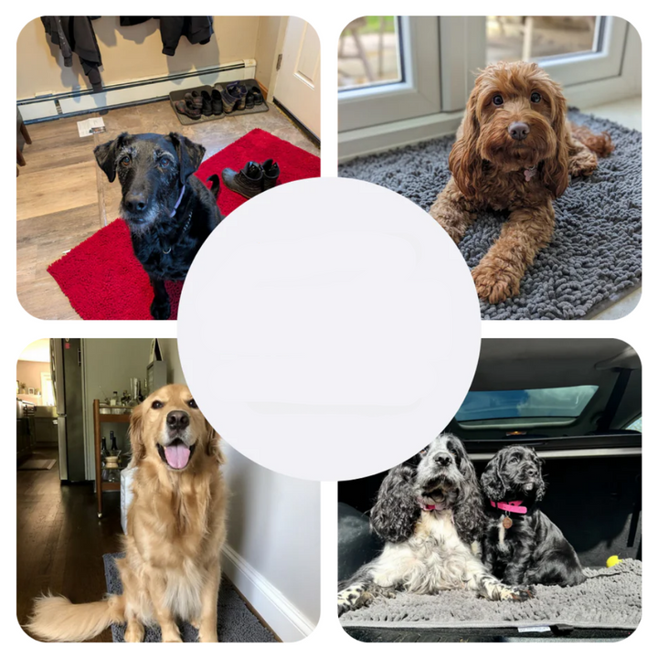 Hundematte | Super Absorbierend | Waschbar | Rutschfest | Bequem-Luzern Mode