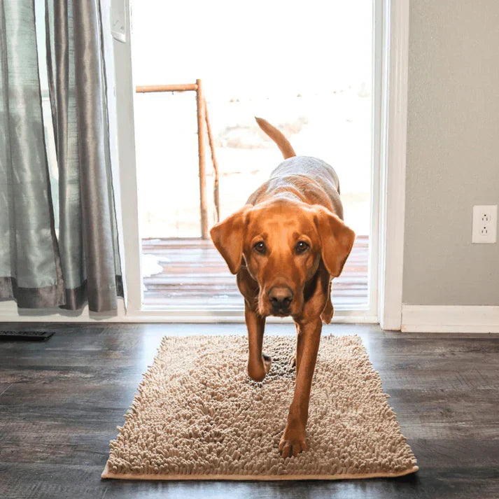 Hundematte | Super Absorbierend | Waschbar | Rutschfest | Bequem-40 X 60 cm-Beige-Luzern Mode