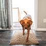 Hundematte | Super Absorbierend | Waschbar | Rutschfest | Bequem-40 X 60 cm-Beige-Luzern Mode