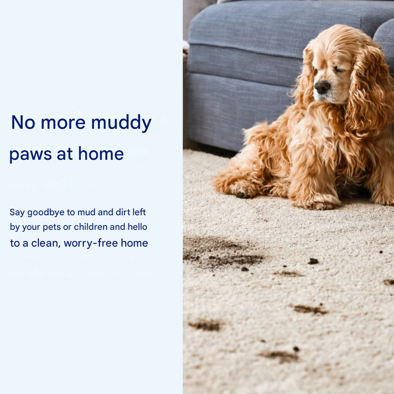 Hundematte | Super Absorbierend | Waschbar | Rutschfest | Bequem-Luzern Mode