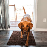 Hundematte | Super Absorbierend | Waschbar | Rutschfest | Bequem-40 X 60 cm-Braun-Luzern Mode