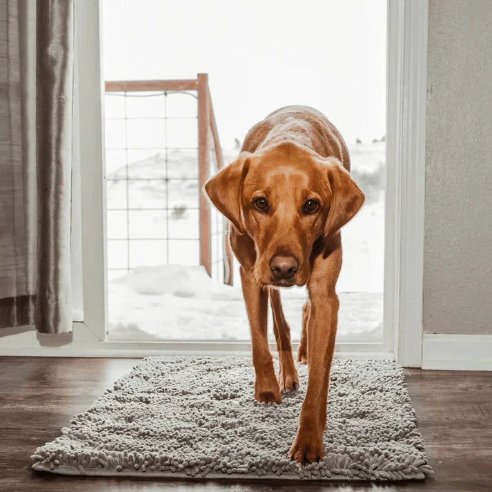Hundematte | Super Absorbierend | Waschbar | Rutschfest | Bequem-40 X 60 cm-Grau-Luzern Mode