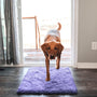 Hundematte | Super Absorbierend | Waschbar | Rutschfest | Bequem-40 X 60 cm-Lila-Luzern Mode