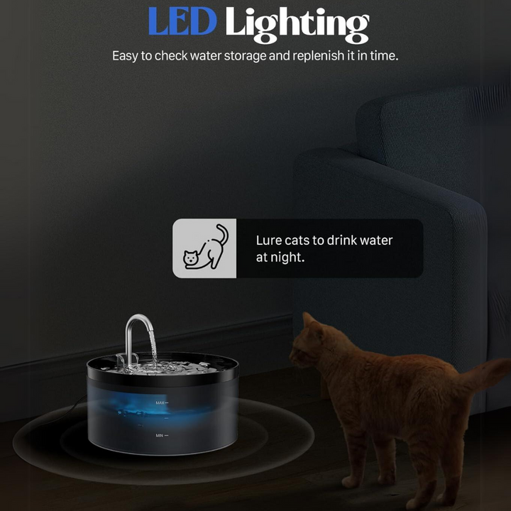 Haustier-Wasserbrunnen | Hund Katze LED Leise Kohlenstofffilter Sauber-Luzern Mode