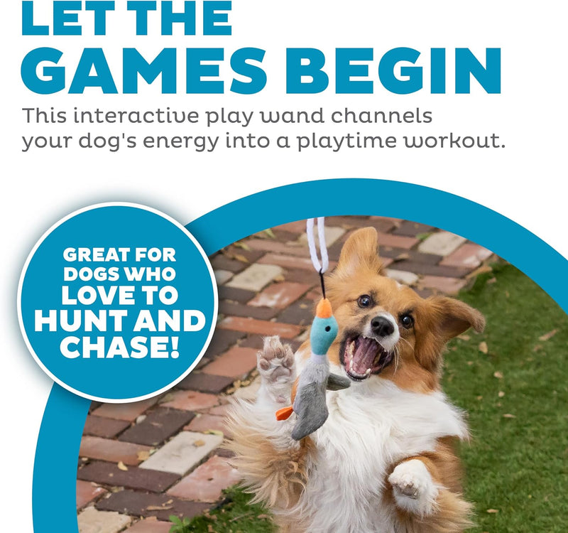 Hundespielstock | Interaktives, strapazierfähiges Entchen-Bewegungs-Quietschespielzeug-Luzern Mode