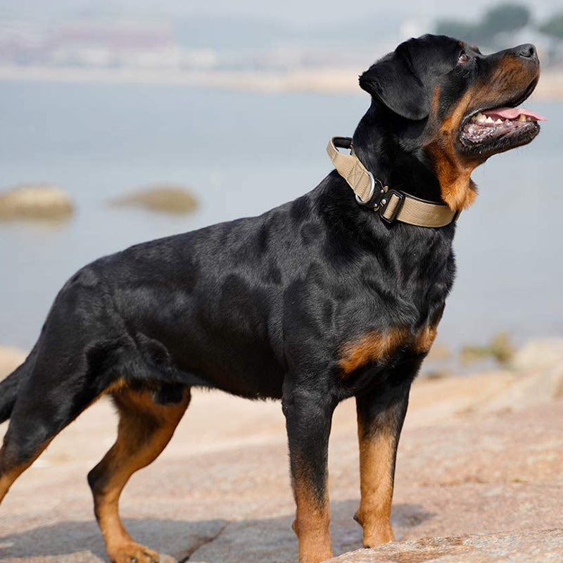 Hundehalsband | Taktisch Griff Robust Stark Stabil-Luzern Mode