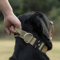 Hundehalsband | Taktisch Griff Robust Stark Stabil-Luzern Mode