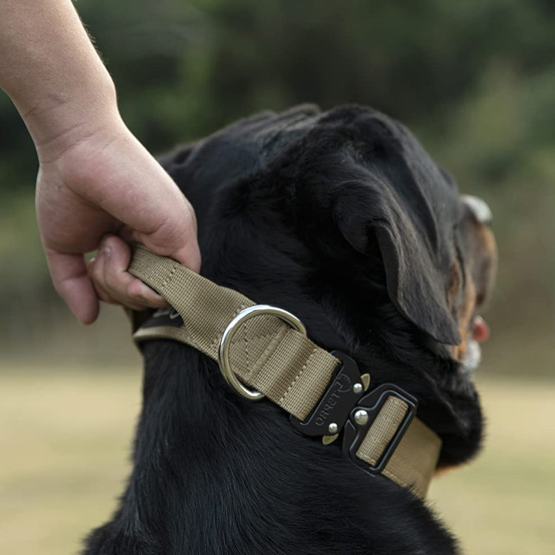 Hundehalsband | Taktisch Griff Robust Stark Stabil-Luzern Mode