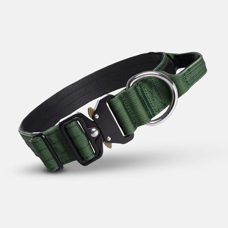 Hundehalsband | Taktisch Griff Robust Stark Stabil-Grün-M-Luzern Mode